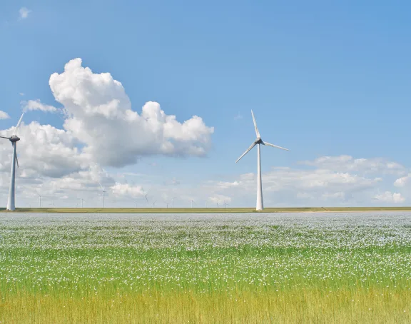 Wind turbines in a grass field