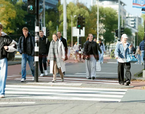 Diversity: Mensen op zebrapad