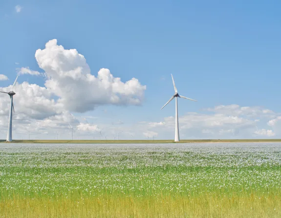 Wind turbines in a grass field